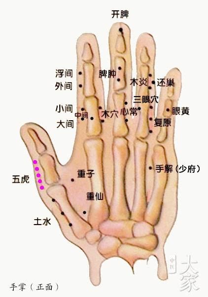 五虎一穴|奇穴每日分享